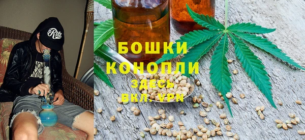 дживик Верея